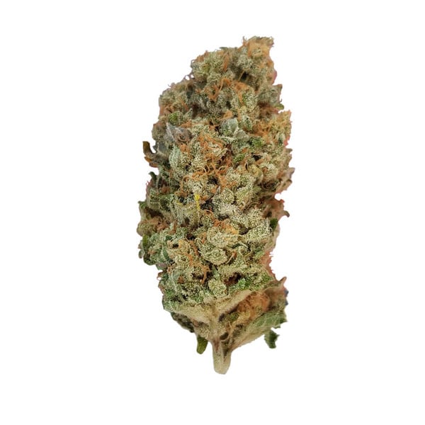 Special Queen #1 Cannabis seeds