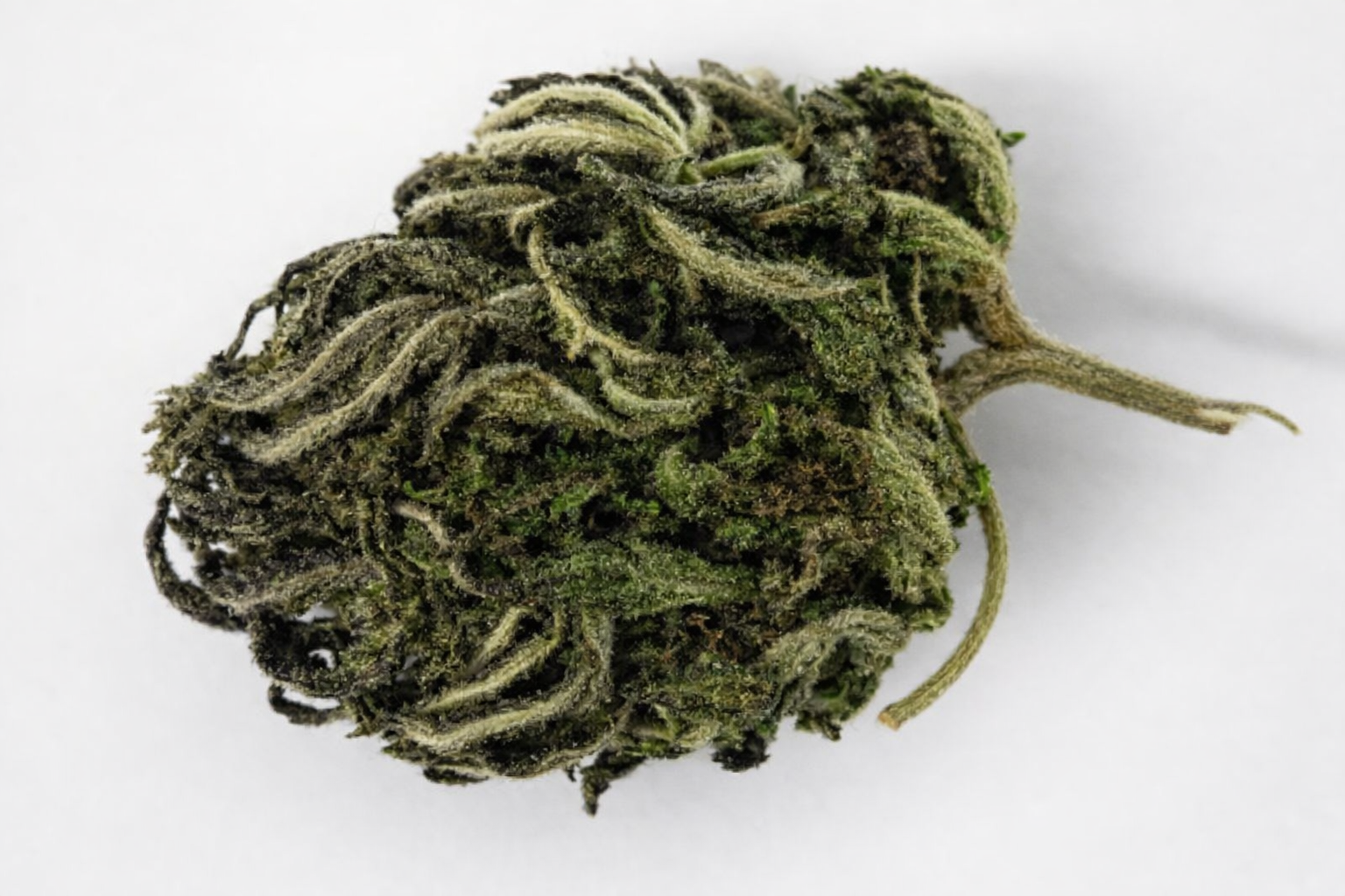 Hempmarken - Jydehash CBD 18.4%