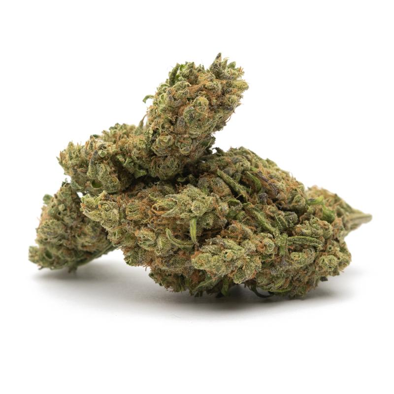 Northern Light CBD Topskud CBD: 19%