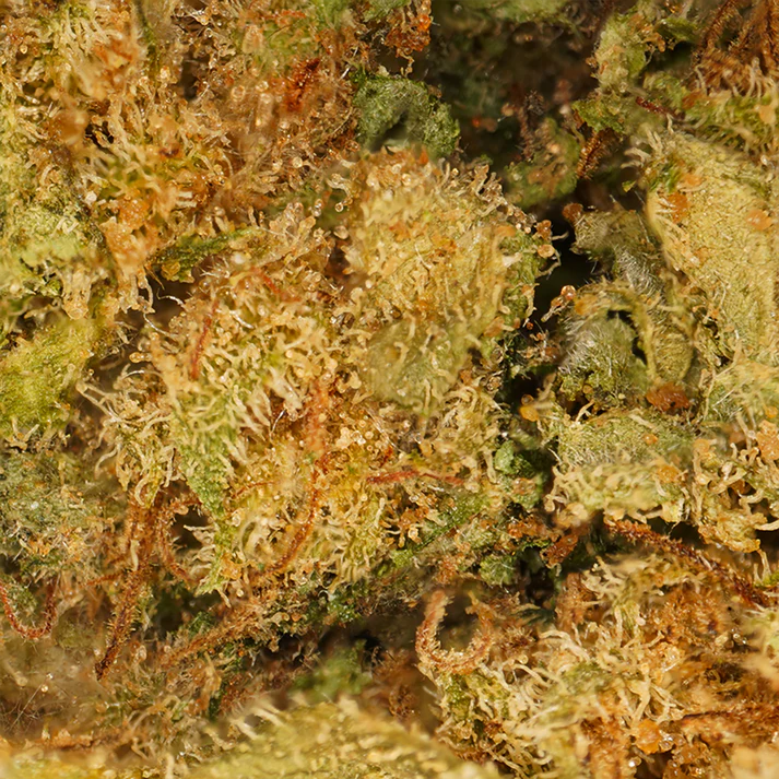 Hennepbloemen Gelato CBD 9%