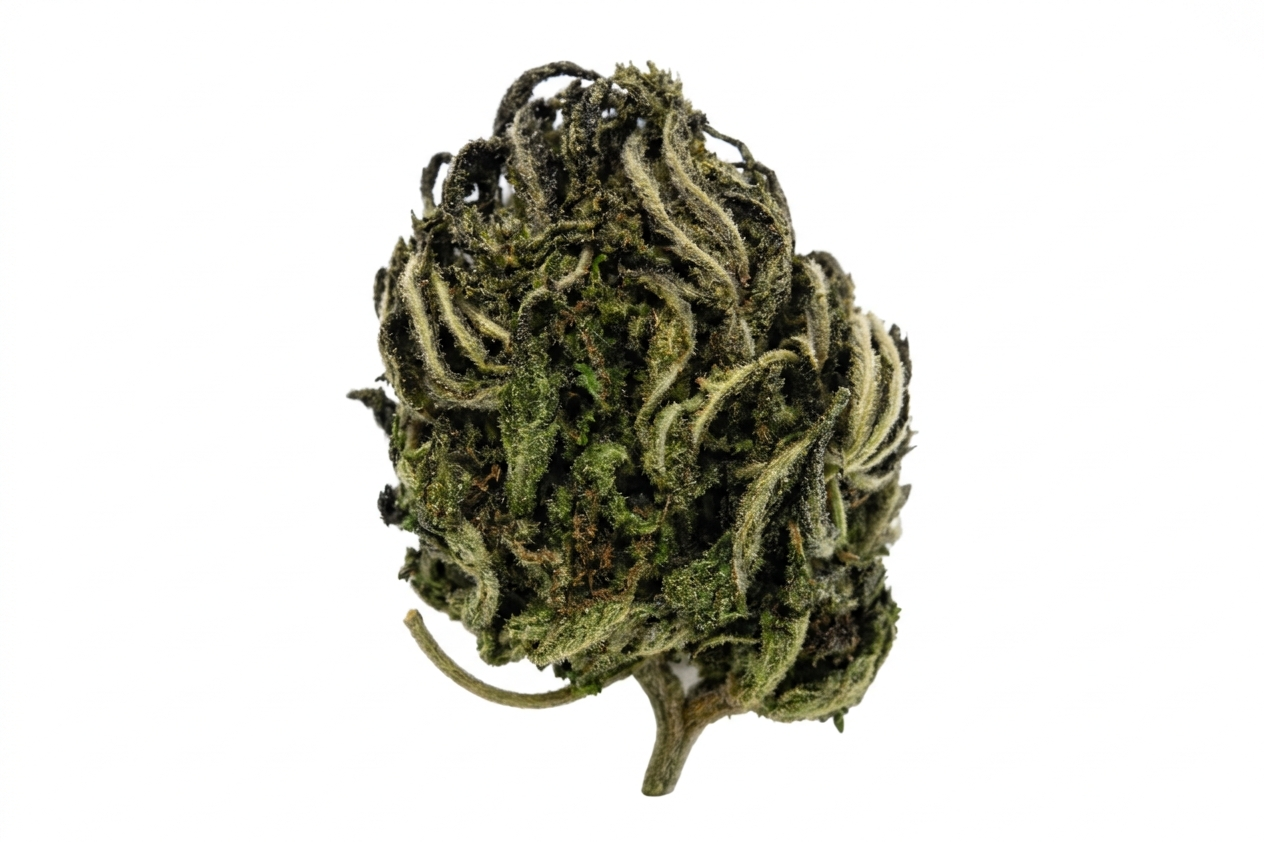 Hempmarken - Jydehash CBD 18,4%